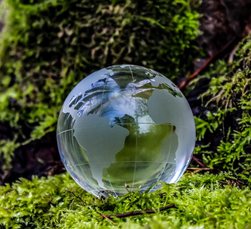 A globe placed in a forest setting, surrounded by greenery, symbolizing environmental suitability and global connection